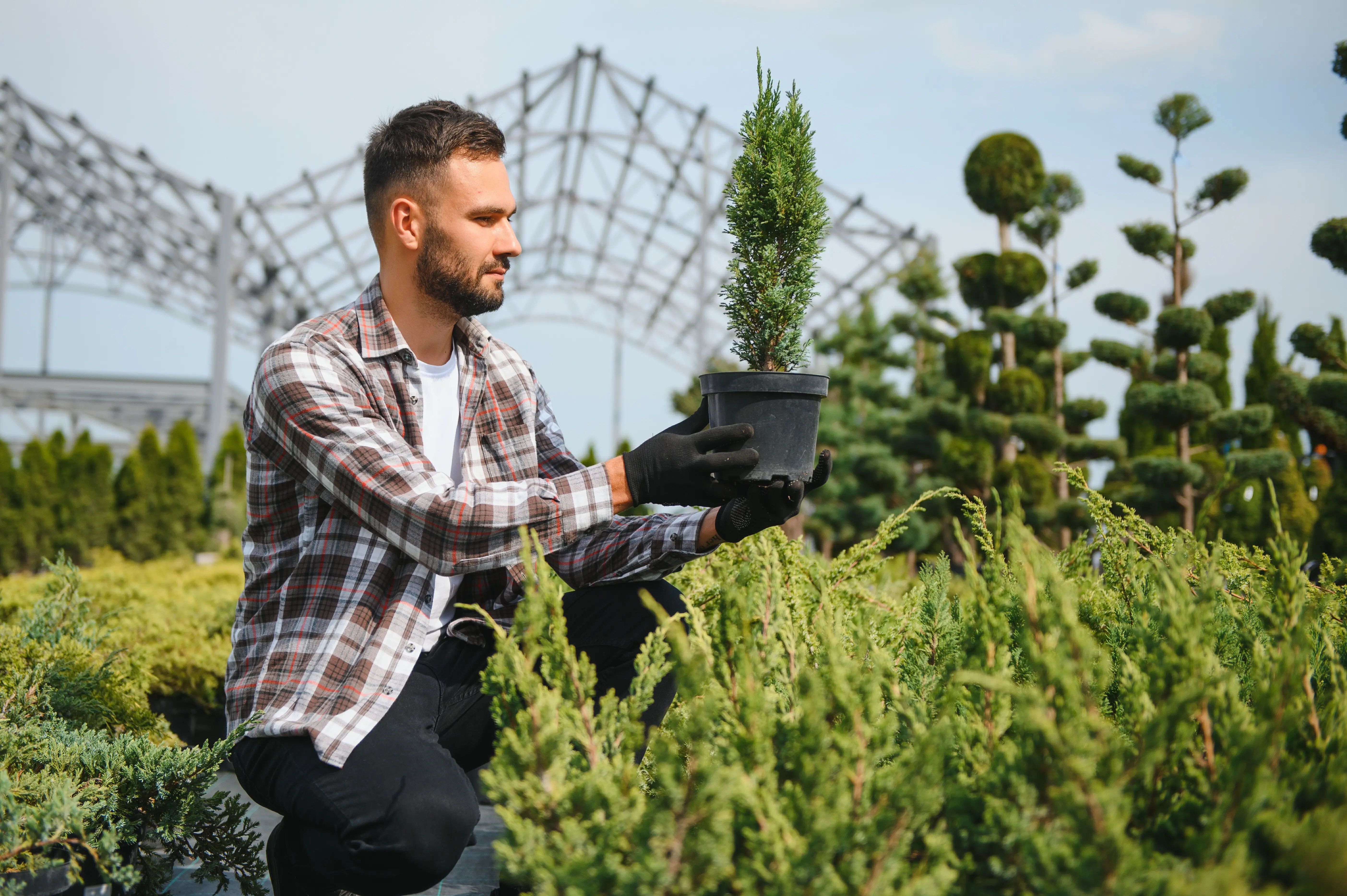 A Caucasian man selecting sprouts at a garden center.