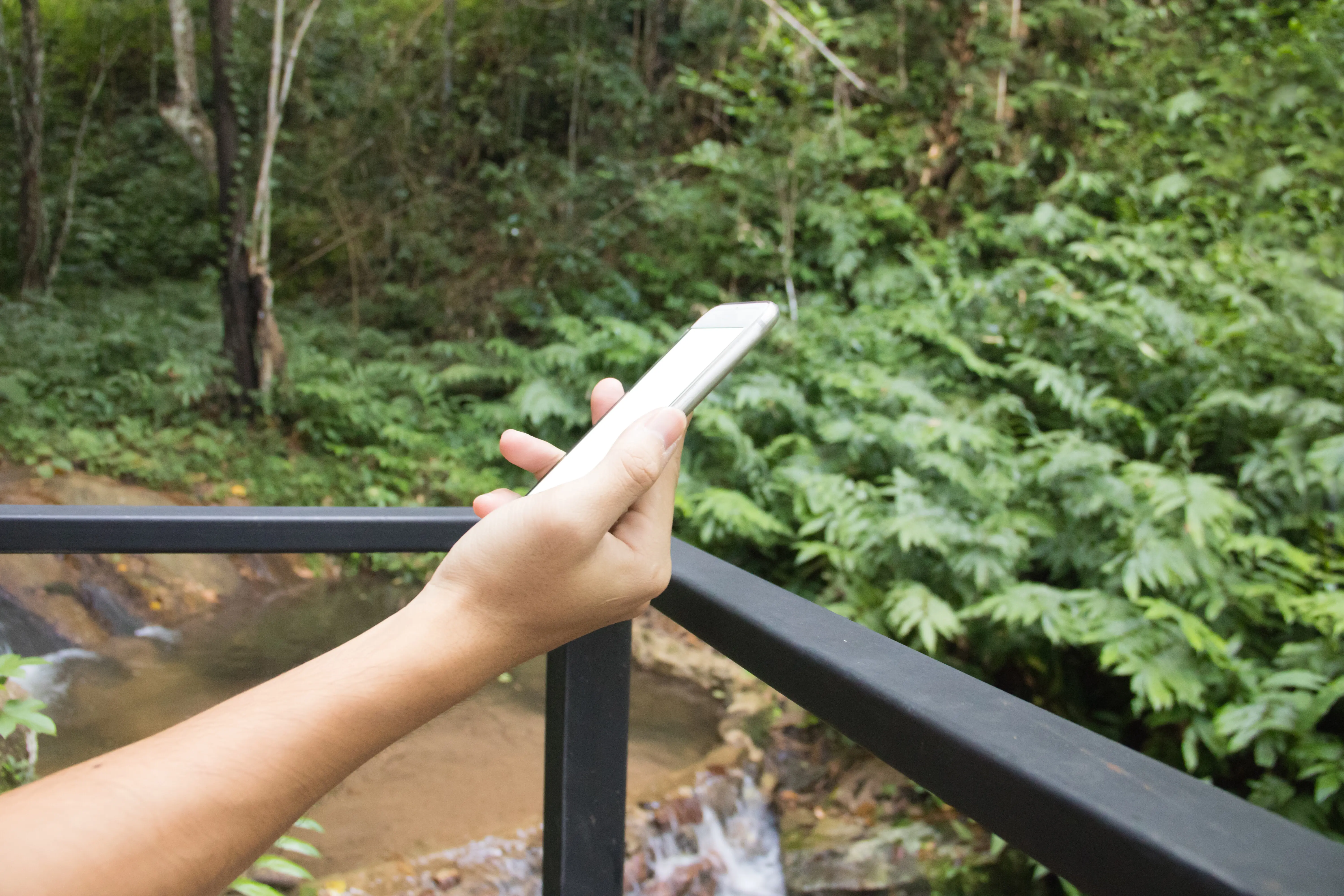 A close-up of a woman’s hand holding plants.