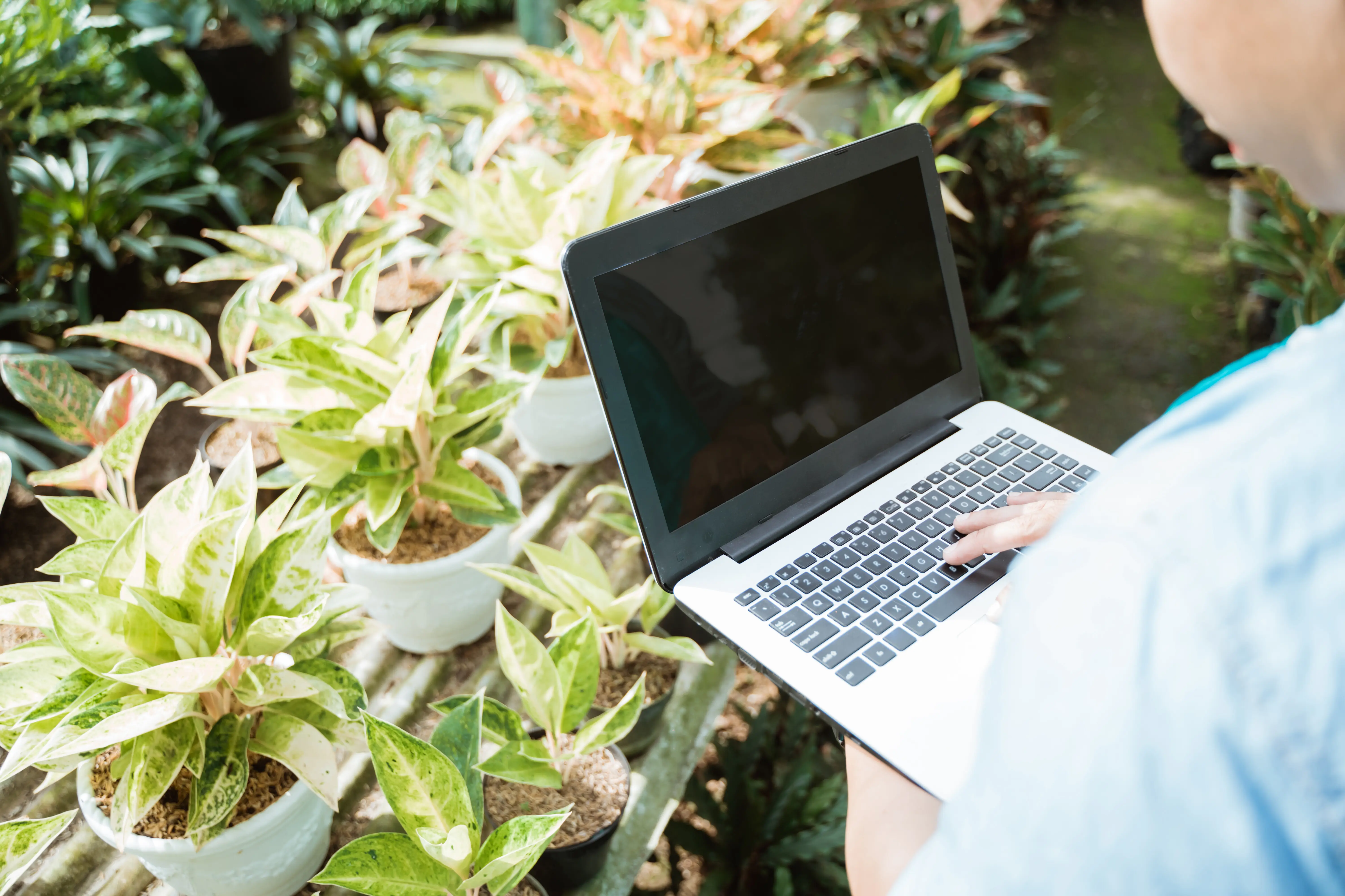 A florist worker looking at his plants.